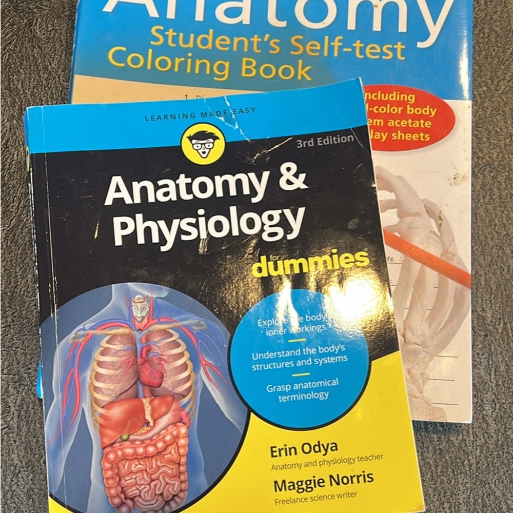 Biology and Anatomy Study Guide Set - Picture 2 of 3